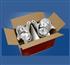SET FARO AUXILIAR ANITNIEBLA P206 2004 / ....